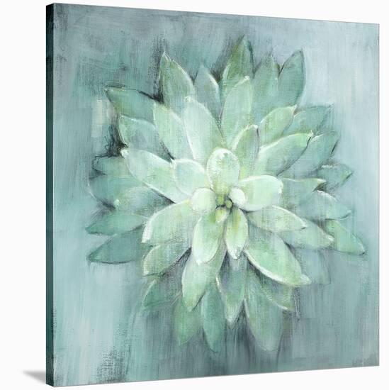 Succulent I-Art Marketing-Stretched Canvas