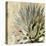 Succulent I-Lindsay Benson-Stretched Canvas