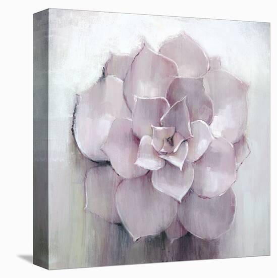 Succulent II-Art Marketing-Stretched Canvas