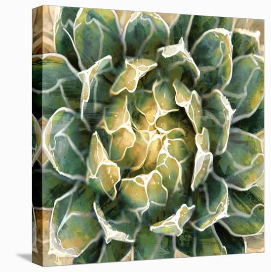 Succulent III-Lindsay Benson-Stretched Canvas