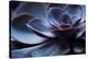 Succulent Plant in Close-up-Paivi Vikstrom-Stretched Canvas