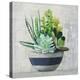 Succulent Still Life II Navy-Julia Purinton-Stretched Canvas