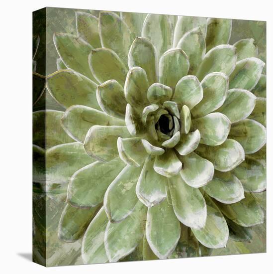 Succulent Verde II-Lindsay Benson-Stretched Canvas