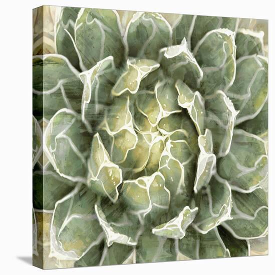 Succulent Verde III-Lindsay Benson-Stretched Canvas