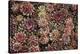 Succulents-David Winston-Stretched Canvas