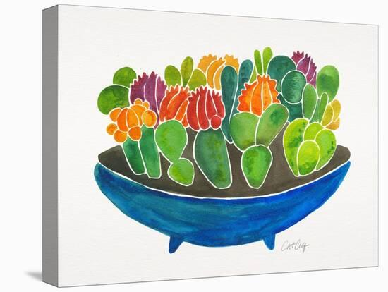 Succulents-Cat Coquillette-Stretched Canvas