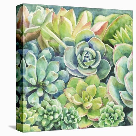 Succulents-Leslie Trimbach-Stretched Canvas