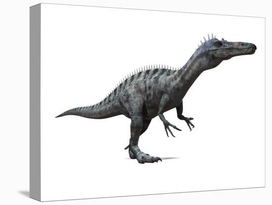 Suchomimus Dinosaur, Artwork-SCIEPRO-Premier Image Canvas