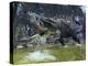 Suchomimus Dinosaur Hunting, Artwork-Walter Myers-Premier Image Canvas