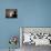 Sudanese Muslim Boy Prays in Front of a Mosque in Sudan-null-Premier Image Canvas displayed on a wall