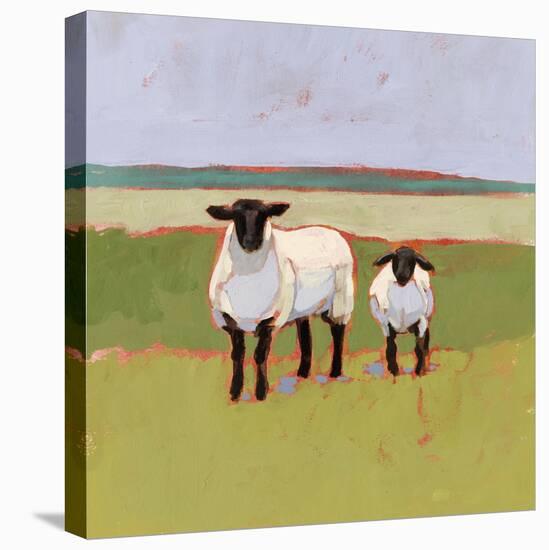 Suffolk Sheep I-Victoria Borges-Stretched Canvas