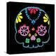 Sugar Skull Velvet II-Rosa Mesa-Stretched Canvas