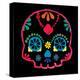 Sugar Skull Velvet III-Rosa Mesa-Stretched Canvas