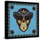 Sugar Skull-Tina Nichols-Premier Image Canvas