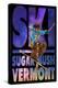 Sugarbush, Vermont - Milky Way Skier-Lantern Press-Stretched Canvas