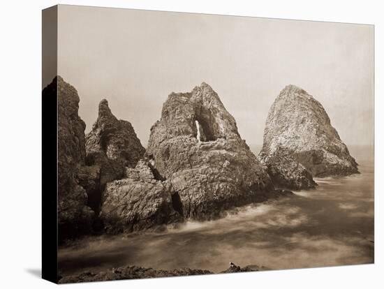 Sugarloaf Islands at Fisherman's Bay, Farallon Islands, San Francisco, California, 1869-Carleton Watkins-Stretched Canvas