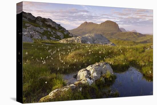 Suilven in Early Morning Light, Coigach - Assynt Swt, Sutherland, Highlands, Scotland, UK, June-Joe Cornish-Premier Image Canvas