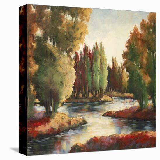 Sullivan's Creek II-Adam Rogers-Stretched Canvas