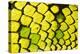 Sumatran pitviper detail of scales, Borneo-Alex Hyde-Premier Image Canvas