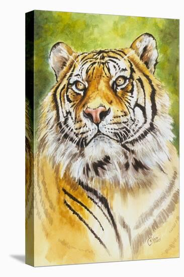 Sumatran Tiger-Barbara Keith-Premier Image Canvas