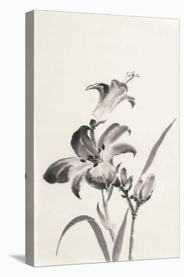 Sumi Daylily I-Chris Paschke-Stretched Canvas