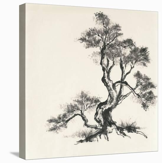 Sumi Tree I-Chris Paschke-Stretched Canvas