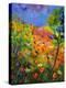 Summer 2014-Pol Ledent-Stretched Canvas