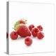 Summer Berries-David Munns-Premier Image Canvas