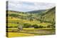 Summer Buttercups in Upper Swaledale Near Thwaite-Mark Sunderland-Premier Image Canvas