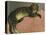 Summer, Cat on a Railing-Théophile Alexandre Steinlen-Premier Image Canvas