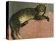 Summer, Cat on a Railing-Théophile Alexandre Steinlen-Premier Image Canvas