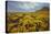 Summer Coastal Wildflower Landscape-Vincent James-Premier Image Canvas