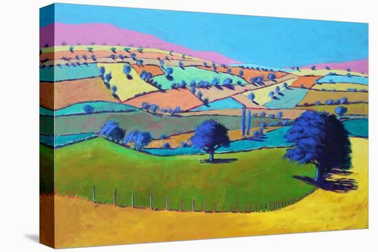 Summer Coombe, 2021 (acrylic on board)-Paul Powis-Premier Image Canvas