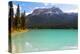 Summer Day at Emerald Lake, Canada-George Oze-Premier Image Canvas