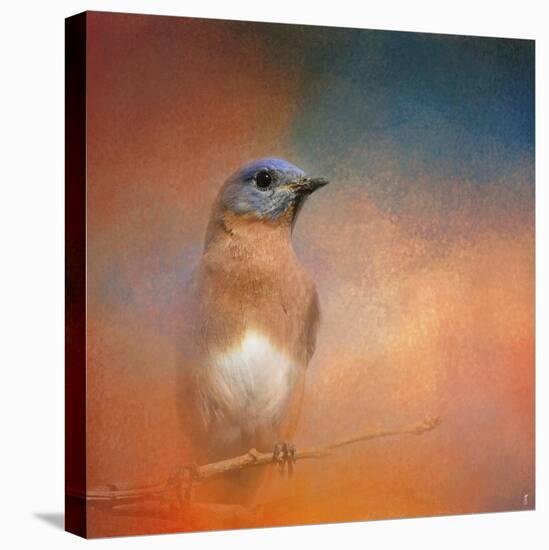 Summer Day Bluebird-Jai Johnson-Premier Image Canvas