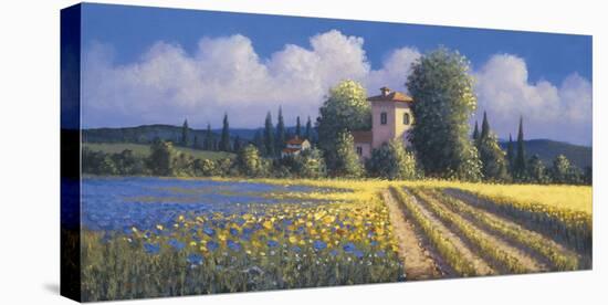 Summer Fields II-David Short-Stretched Canvas