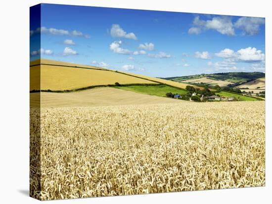 Summer Fields, Thorverton, Devon, England, United Kingdom, Europe-Jeremy Lightfoot-Premier Image Canvas