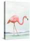 Summer Flamingo I-Lily K-Stretched Canvas