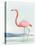 Summer Flamingo II-Lily K-Stretched Canvas