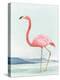 Summer Flamingo II-Lily K-Stretched Canvas