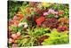 Summer flowers in a garden near Victoria, British Columbia-Stuart Westmorland-Premier Image Canvas
