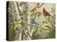 Summer Friends-William Vanderdasson-Premier Image Canvas