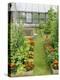 Summer Garden with Mixed Vegetables and Flowers Growing in Raised Beds with Marigolds, Norfolk, UK-Gary Smith-Premier Image Canvas