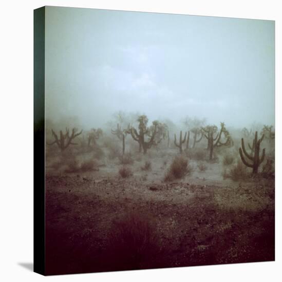 Summer Hail and Thunderstorm Falling on Desert-Loomis Dean-Premier Image Canvas