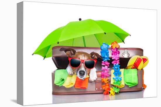 Summer Holiday Dog-Javier Brosch-Premier Image Canvas