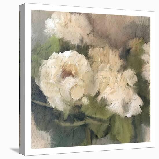 Summer Hydrangeas 2-Kimberly Allen-Stretched Canvas