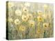 Summer in Bloom I-Tim O'toole-Stretched Canvas