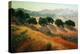 Summer in the Hills-Kathy O’Leary-Stretched Canvas