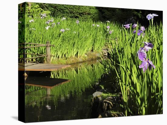 Summer in the Portland Japanese Garden, Portland, Oregon, USA-Michel Hersen-Premier Image Canvas