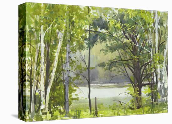 Summer Lake VI-Elissa Gore-Stretched Canvas